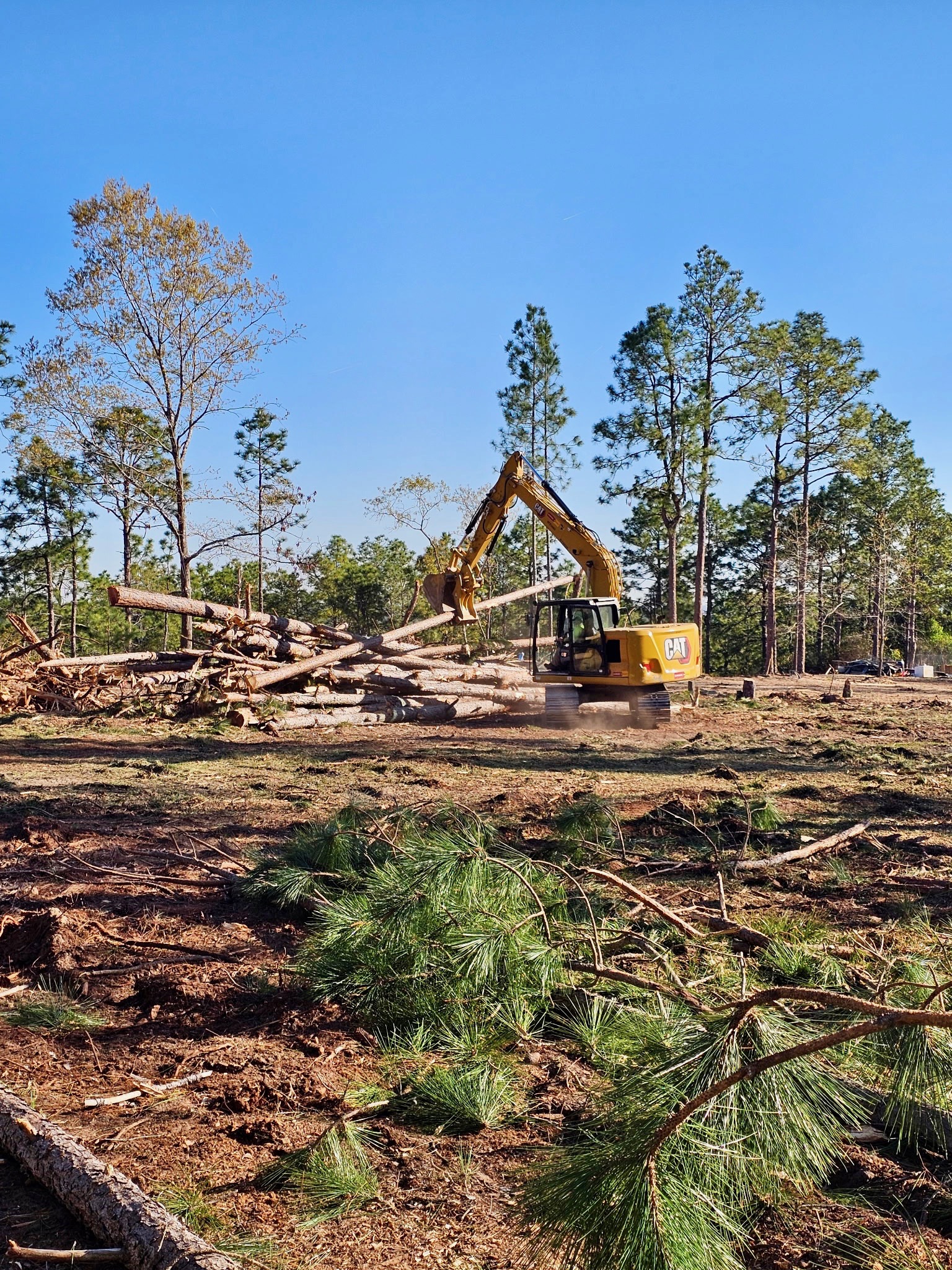 441225887560530633 2